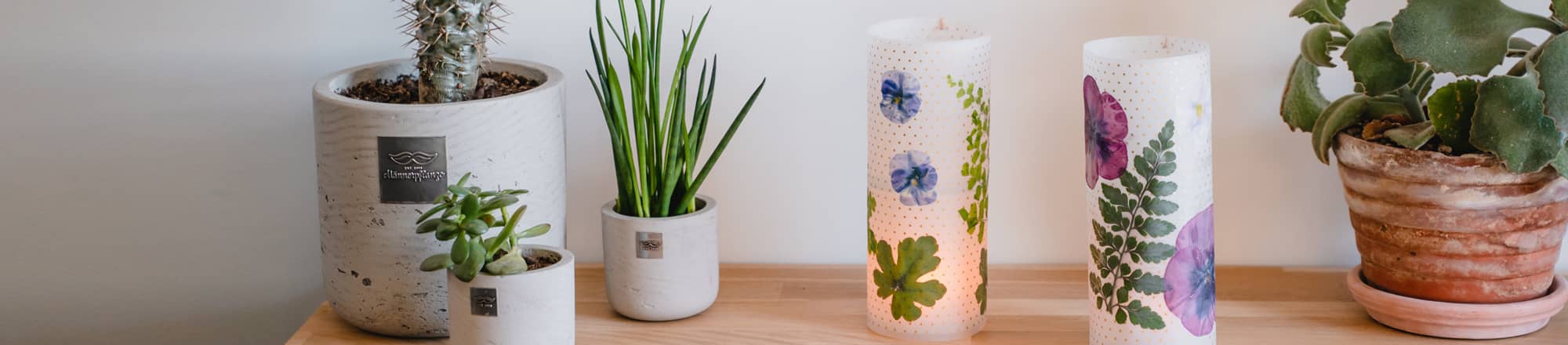 Cool - springlike blossom lanterns  