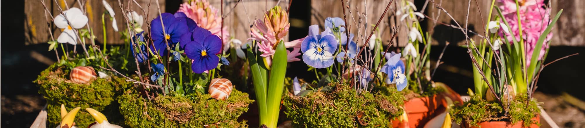 Cheerful - spring served on a tray