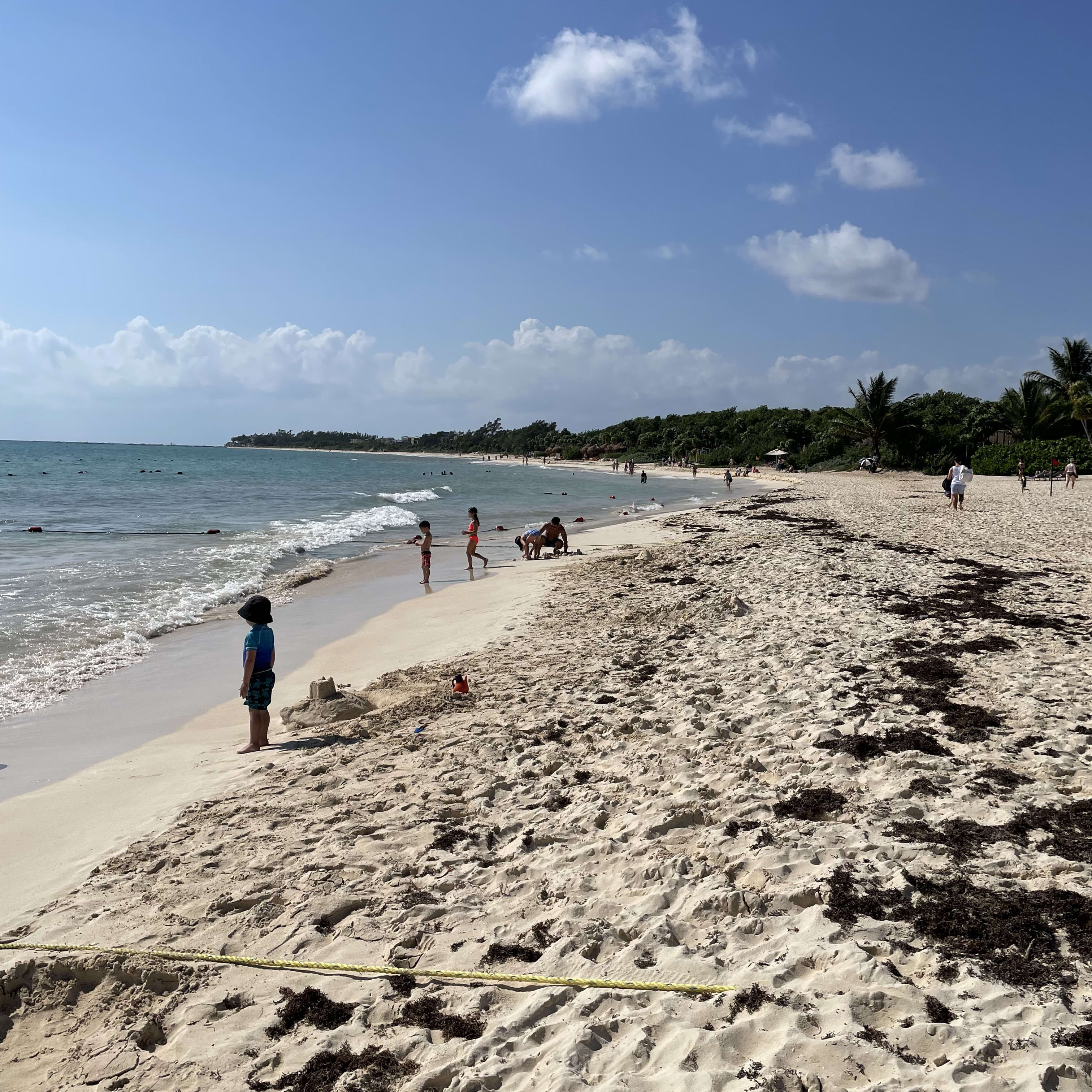 Advisor - Andrea Plath