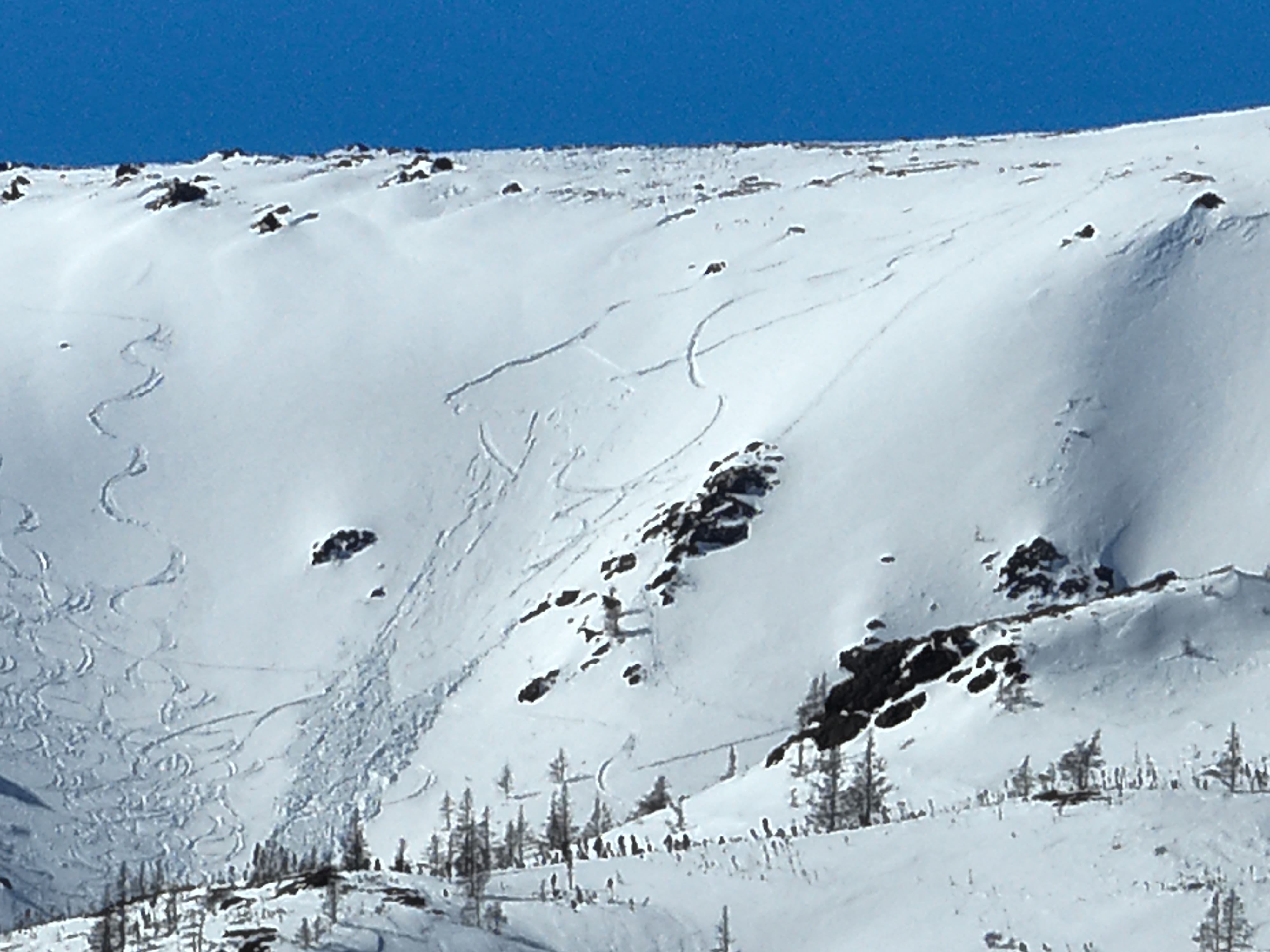 Avalanche déclenchée sur un versant sud, en terrain alpin, au mont Albert.
