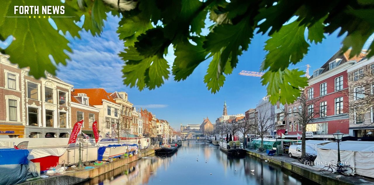 FORTH News How to Dry Cilantro at Home easily