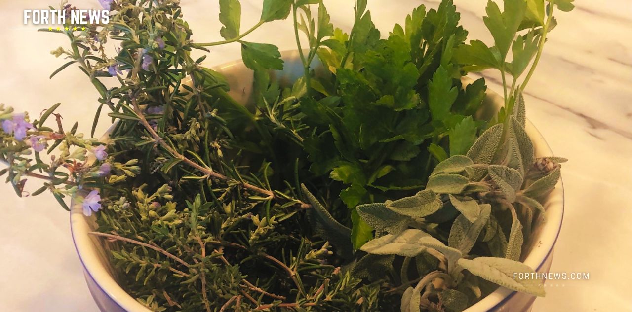 FORTH News Rubbed Sage, How to make it and How to use Rubbed Sage