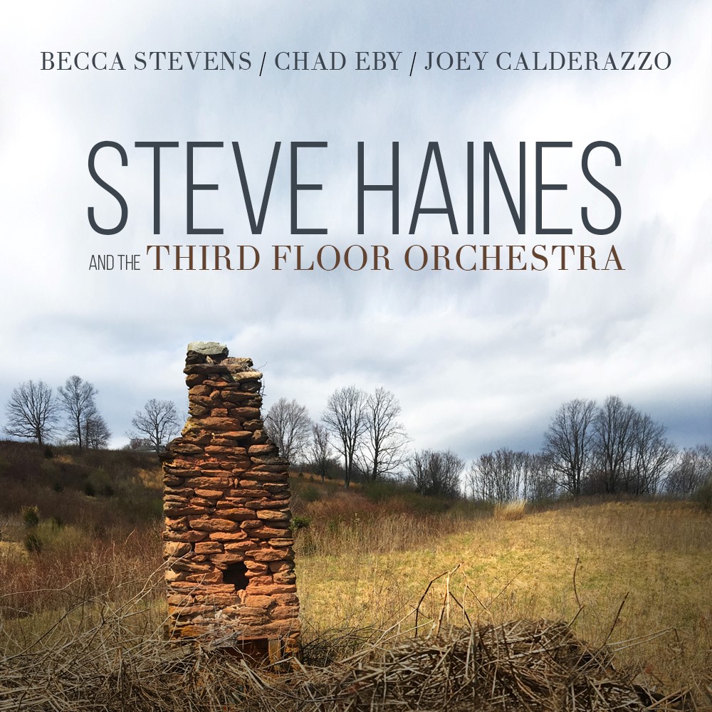Steve Haines and the Third Floor Orchestra Cover Steve Haines and the Third Floor Orchestra