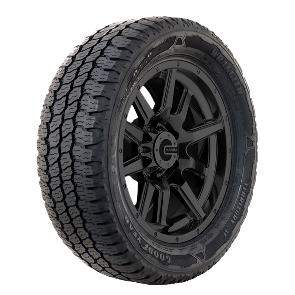 Wrangler Territory AT