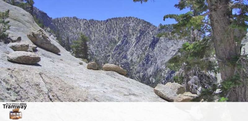 Description: This image showcases a scenic mountain landscape under a bright blue sky. The forefront of the photo displays a large, smooth granite slope dotted with a few round, weathered boulders. On the right, a coniferous tree can be seen leaning into the frame from the edge, indicative of a high-altitude forest environment. The background reveals a range of rugged, densely forested mountains, with their peaks rising steeply into the clear sky. The image evokes a sense of remote wilderness and natural beauty. At the bottom left corner, there is a watermark for the "Palm Springs Aerial Tramway", suggesting this may be a view from or near the tramway's path. 

Remember to explore FunEx.com for exclusive discounts on tickets to various attractions, ensuring the lowest prices for your next adventure!