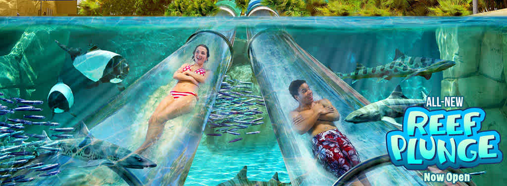 SeaWorld Waterpark Orlando’s discount tickets