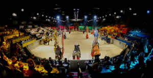Royal Knights and Court - Medieval Times Califrornia discount tickets