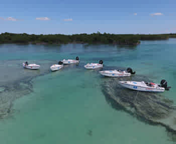 Key West Snorkel Trip
