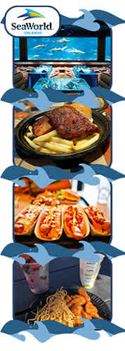 SeaWorld Orlando discount tickets