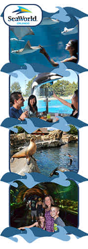 SeaWorld Orlando discount tickets