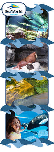 SeaWorld Orlando discount tickets
