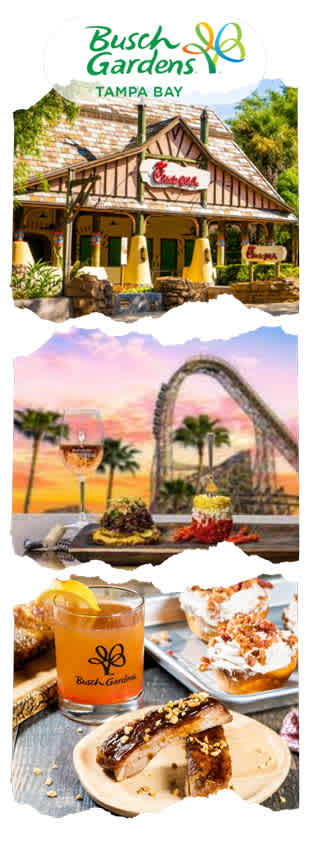 Busch Gardens Tampa discount tickets