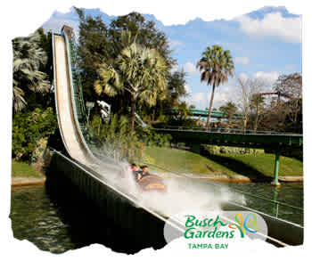 Busch Gardens Tampa discount tickets