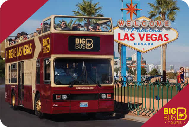 Big Bus Las Vegas Tours discount ticket