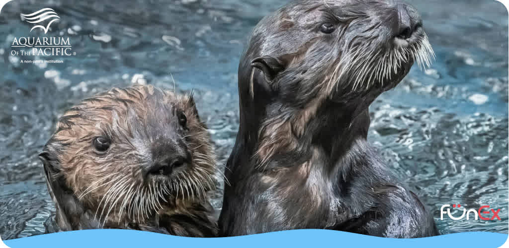 Aquarium of the Pacific tickets