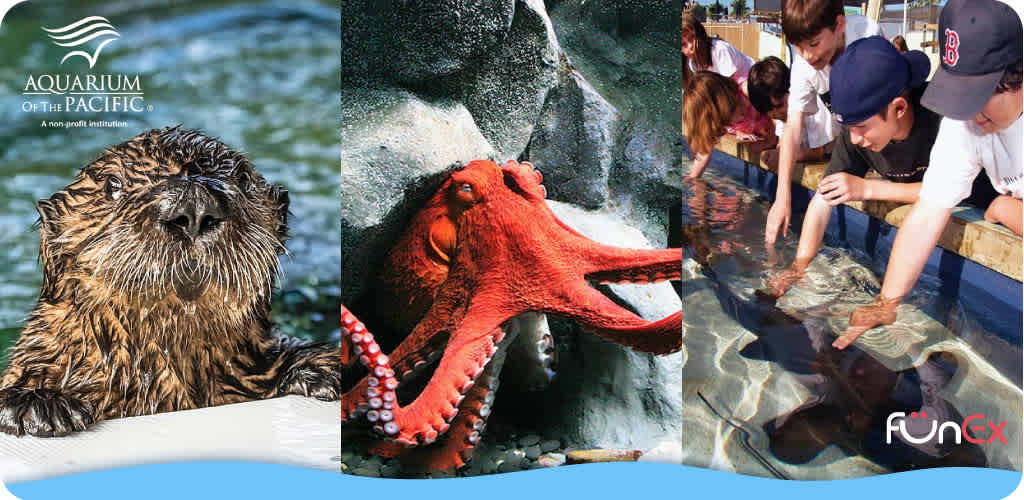 Aquarium of the Pacific discount ticket