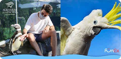 Aquarium of the Pacific tickets