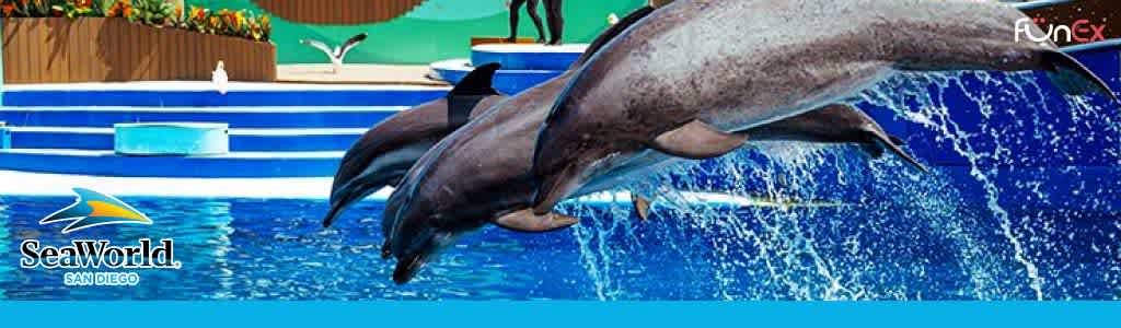 SeaWorld San Diego discount tickets