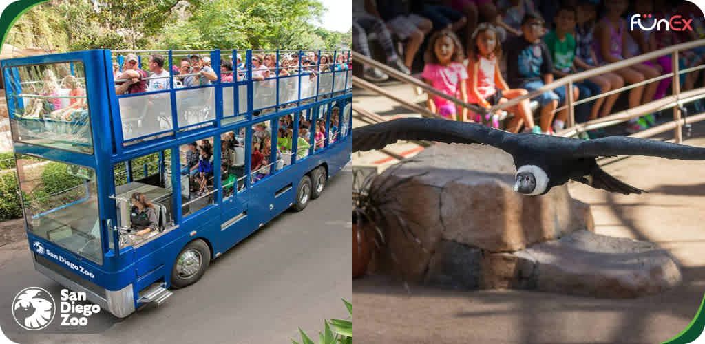 San Diego Zoo discount tickets
