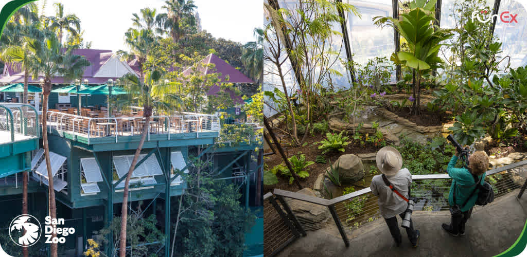 San Diego Zoo discount tickets