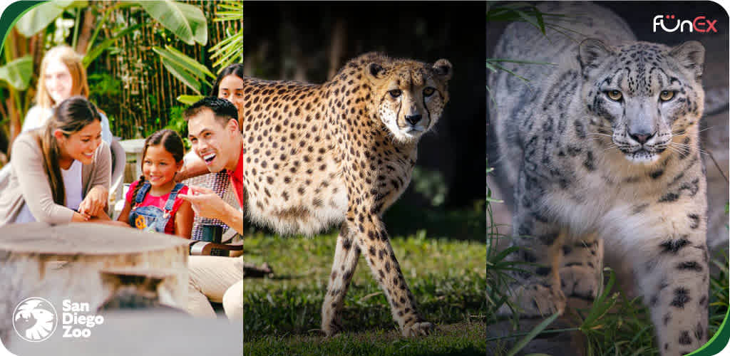 San Diego Zoo discount tickets