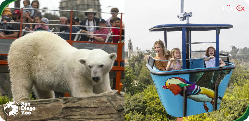 San Diego Zoo discount tickets