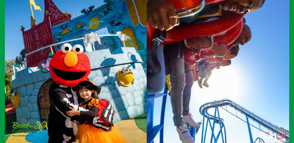 Busch Gardens discount ticket