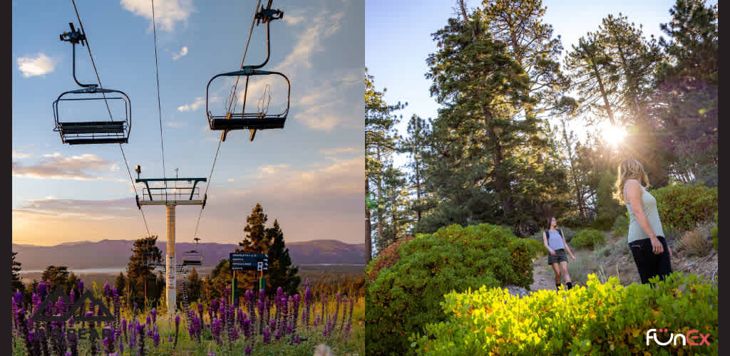 discount Big Bear Lift ticket