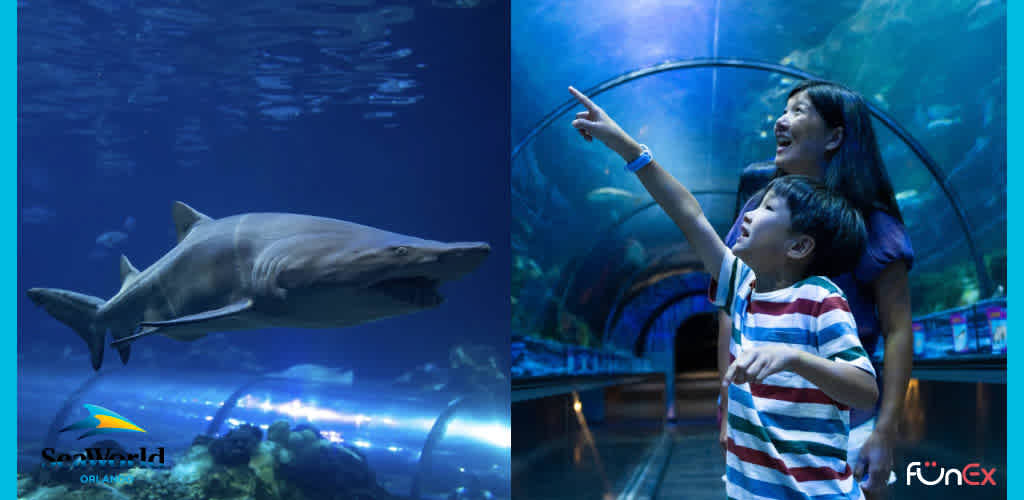 SeaWorld Orlando discount tickets