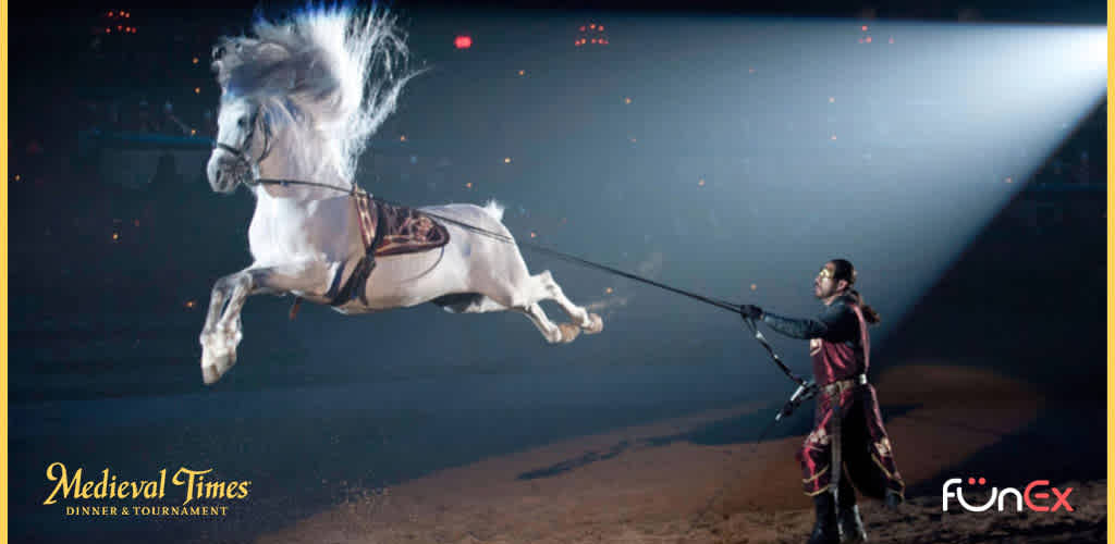 Medieval Times Myrtle Beach discount tickets