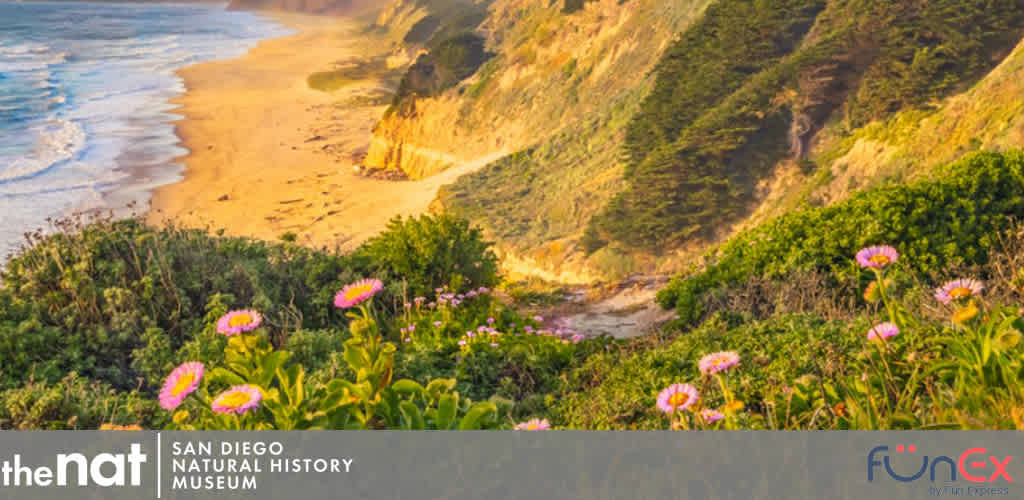 San Diego Natural History Museum discount tickets