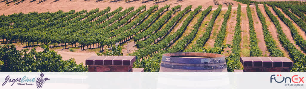 Grapeline Wine Tours discount tickets