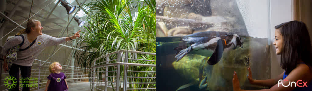 California Academy of Sciences discount tickets