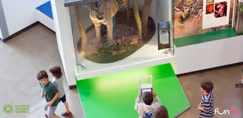 California Academy of Sciences discount tickets