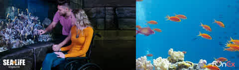 SEA LIFE Aquarium Grapevine discount tickets