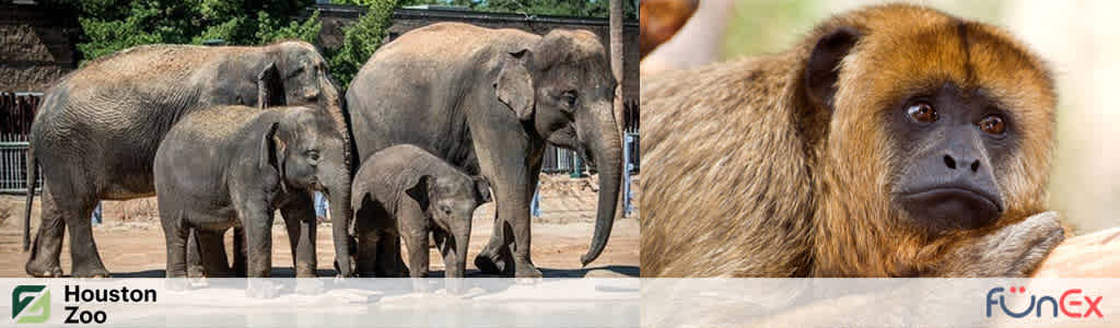 Houston CityPASS Zoo funex discount tickets