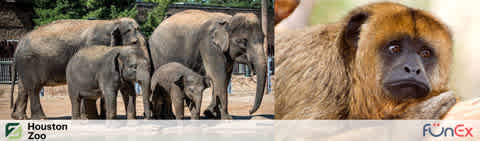 Houston CityPASS Zoo funex discount tickets