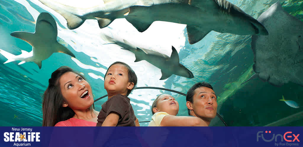 SEA Life Aquarium New Jersey discount tickets