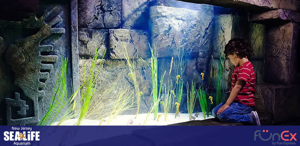 SEA Life Aquarium New Jersey discount tickets
