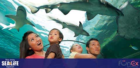 SEA Life Aquarium New Jersey discount tickets