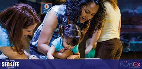 SEA Life Aquarium New Jersey discount tickets