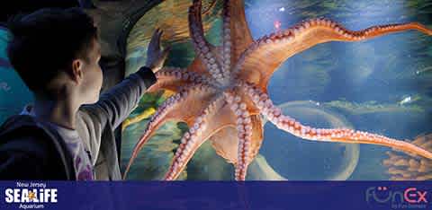 SEA Life Aquarium New Jersey discount tickets