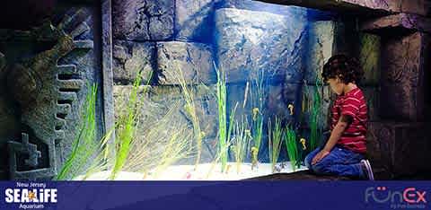 SEA Life Aquarium New Jersey discount tickets
