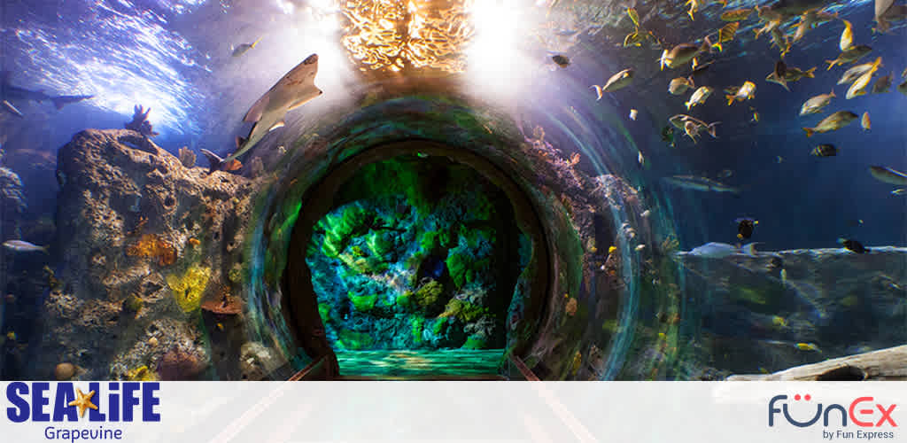 SEA Life Dallas discount tickets