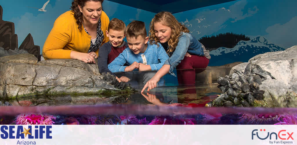 Sea Life Arizona discount tickets