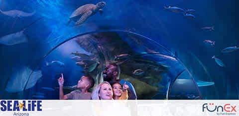 Sea Life Arizona discount tickets