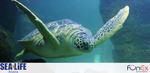 Sea Life Arizona discount tickets