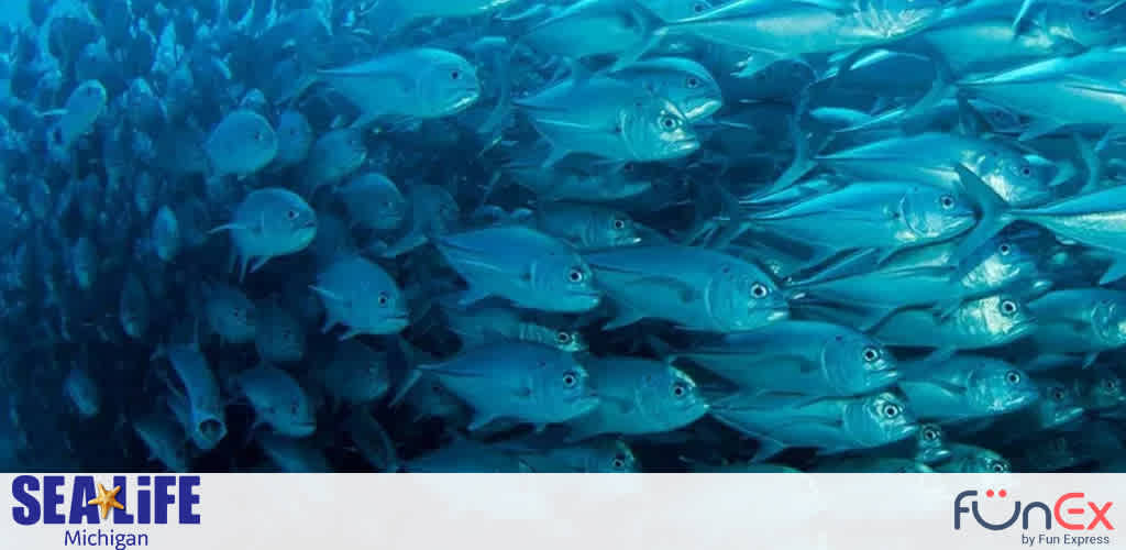Sea Life Michigan discount tickets