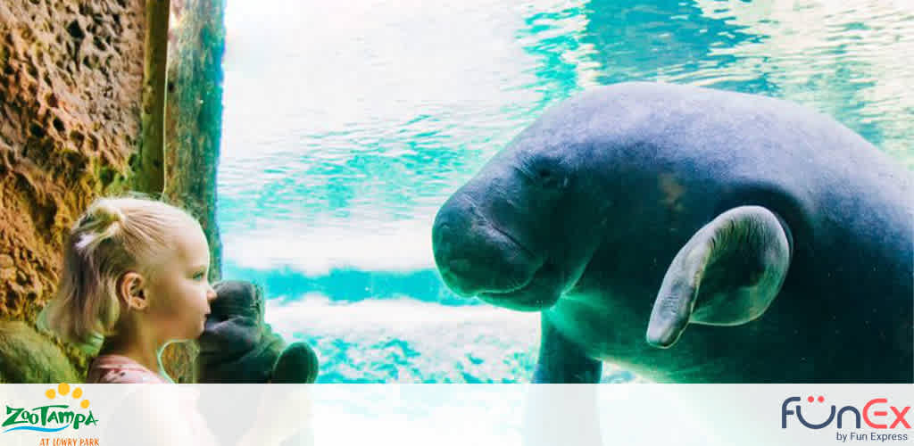 Tampa Zoo Discount Tickets from FunEx
