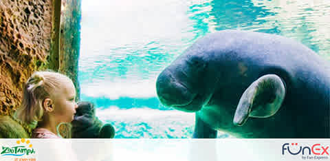 Tampa Zoo Discount Tickets from FunEx